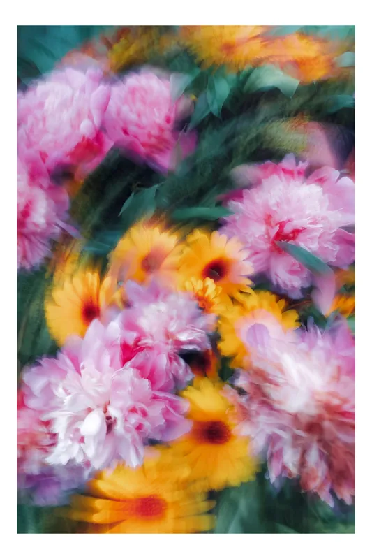 Tablou Canvas floral cu design de petale vesele, 39 x 54 cm