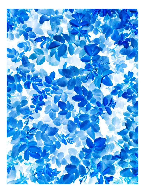 Tablou Canvas cu motiv frumusețelor naturale în stil acuarelă, 70 x 100 cm