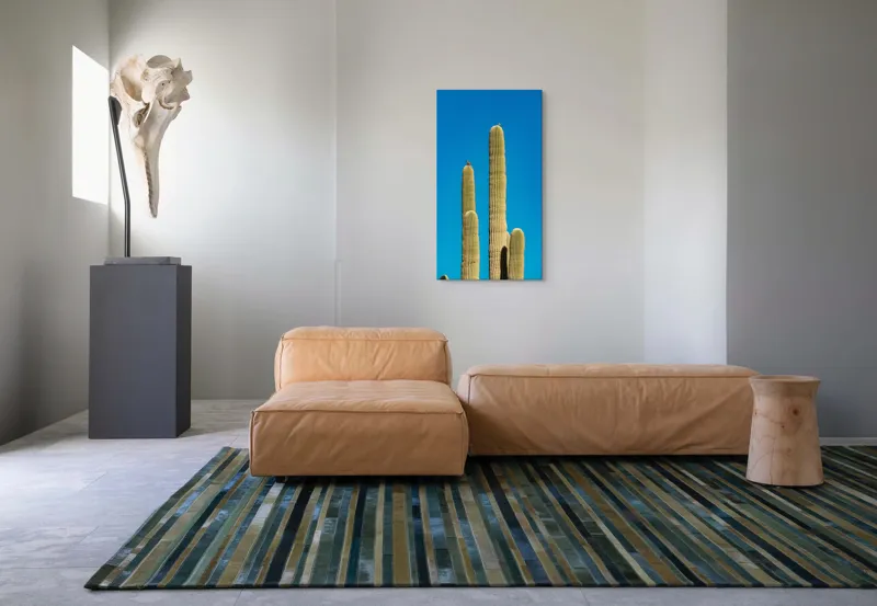 Tablou Canvas Cactuși și Cer Albastru Infinit Natură Verticalitate, 50 x 90 cm – poza 5