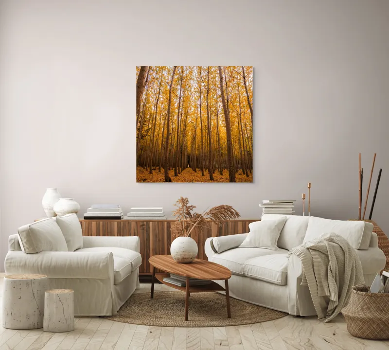 Tablou Canvas, Pădurea de aur la amurg, 100 x 100 cm – poza 3
