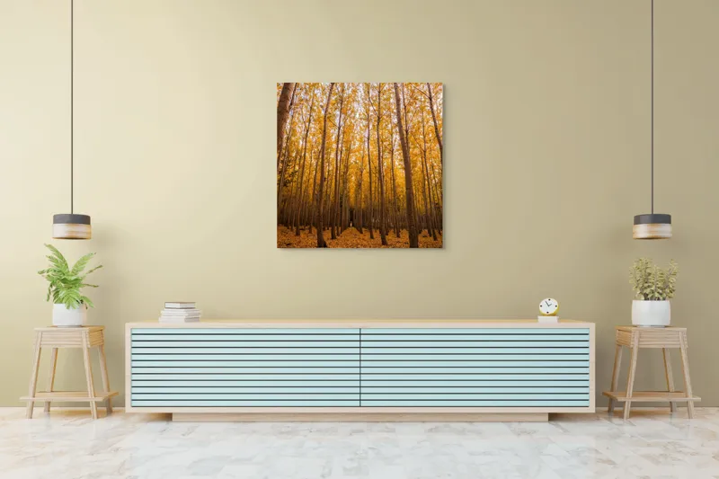 Tablou Canvas, Pădurea de aur la amurg, 100 x 100 cm – poza 5