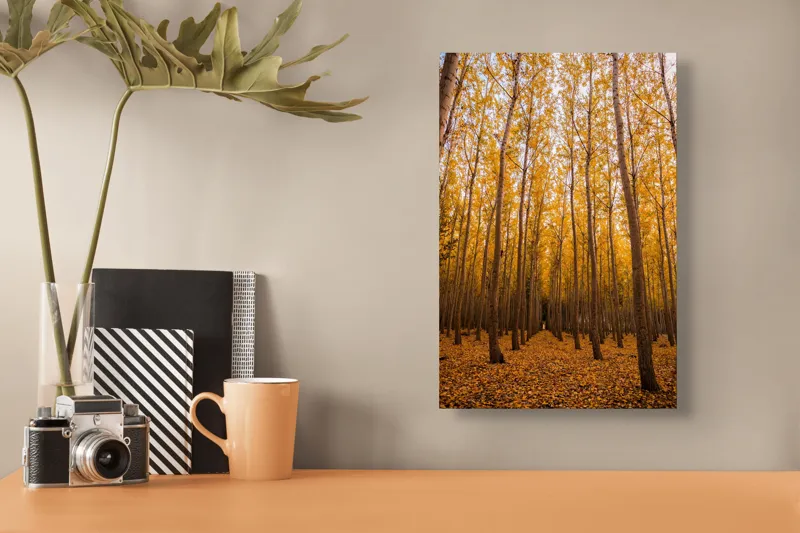 Tablou Canvas, Pădurea de aur la amurg, 26 x 39 cm – poza 3