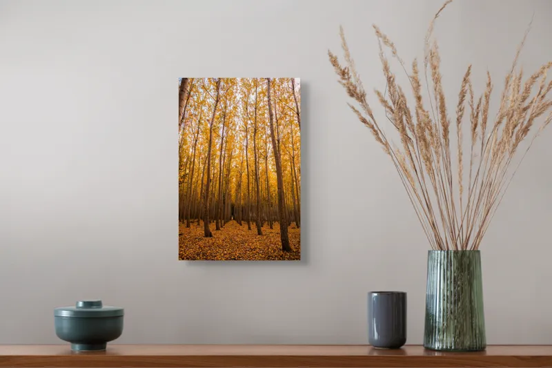 Tablou Canvas, Pădurea de aur la amurg, 26 x 39 cm – poza 5