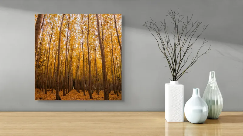 Tablou Canvas, Pădurea de aur la amurg, 50 x 50 cm – poza 3