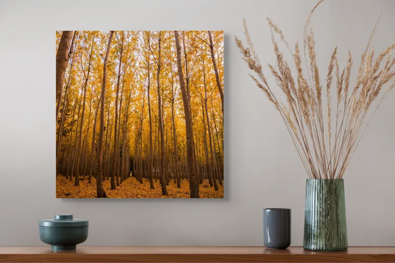 Tablou Canvas, Pădurea de aur la amurg, 50 x 50 cm – poza 4