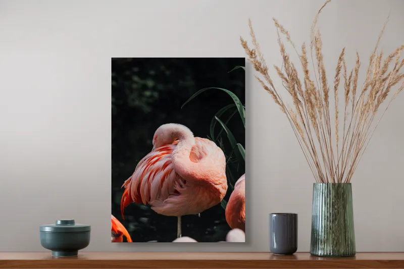 Tablou Canvas, "Flamingo odihnindu-se lângă apă", Flamingo, Roz, Grațios, Odihnă, Natură, Pene, Eleganță, Peisaj, Calm, Vegetație, 39 x 54 cm – poza 3
