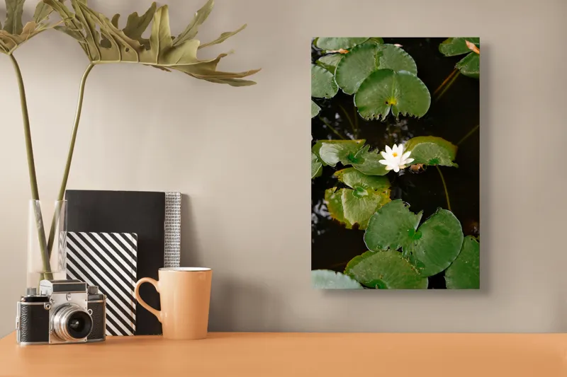 Tablou Canvas, "Floare de nufăr pe lac liniștit", Frunze, Lac, Floare, Nufăr, Apă, Verde, Natural, Frumusețe, Reflecție, Petale, 26 x 39 cm – poza 3