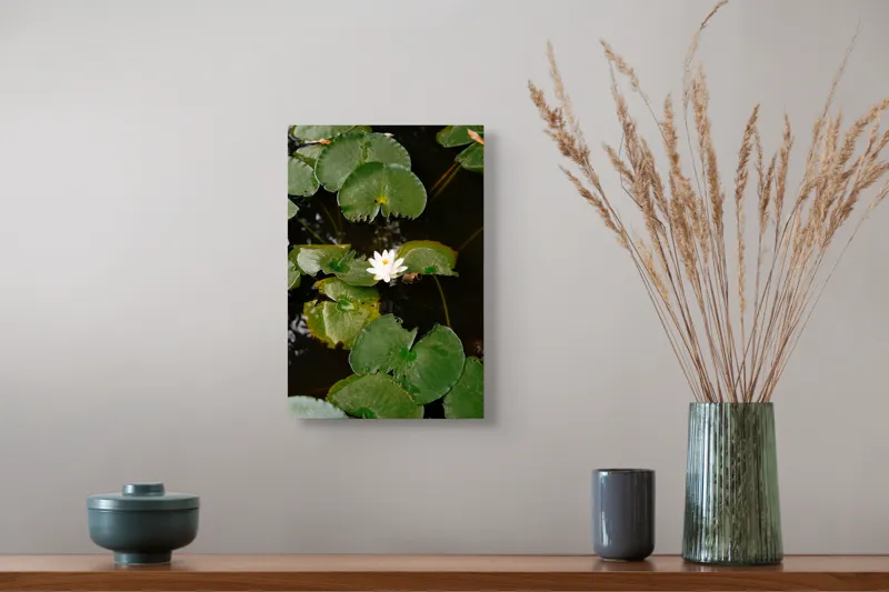 Tablou Canvas, "Floare de nufăr pe lac liniștit", Frunze, Lac, Floare, Nufăr, Apă, Verde, Natural, Frumusețe, Reflecție, Petale, 26 x 39 cm – poza 5