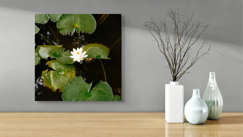 Tablou Canvas, "Floare de nufăr pe lac liniștit", Frunze, Lac, Floare, Nufăr, Apă, Verde, Natural, Frumusețe, Reflecție, Petale, 50 x 50 cm – poza 3