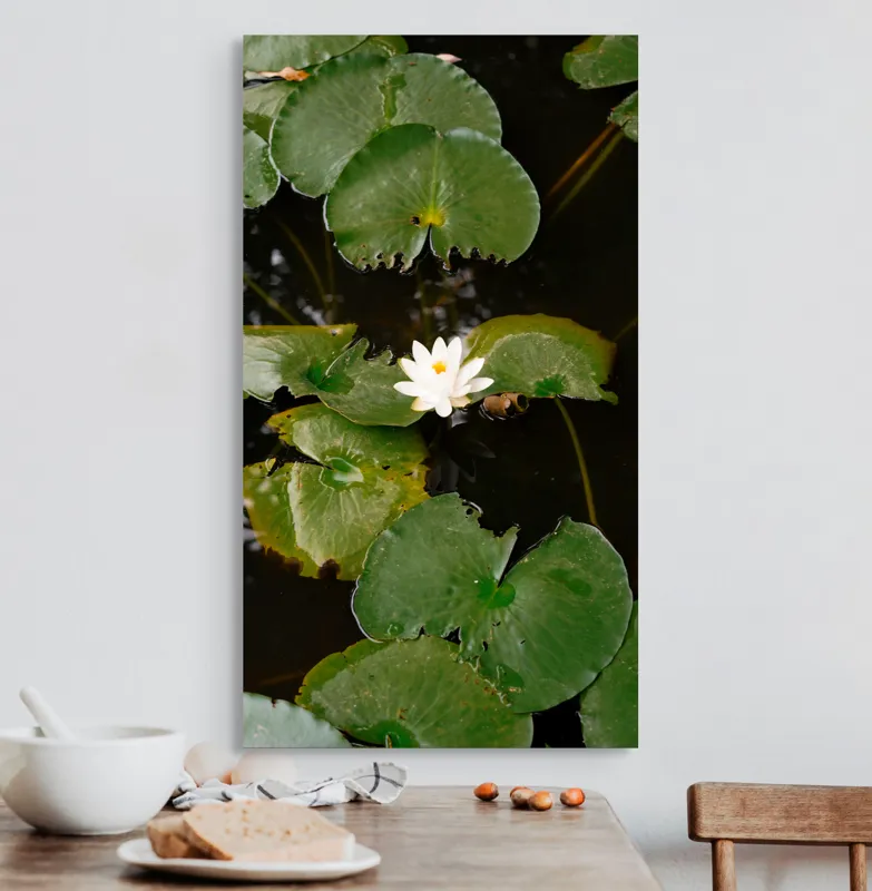 Tablou Canvas, "Floare de nufăr pe lac liniștit", Frunze, Lac, Floare, Nufăr, Apă, Verde, Natural, Frumusețe, Reflecție, Petale, 50 x 90 cm – poza 3