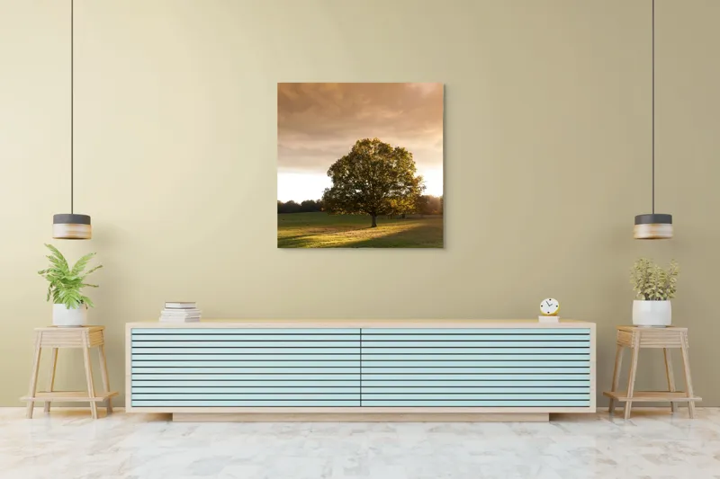 Tablou Canvas, "Solitudinea unui copac sub apus", 100 x 100 cm – poza 5