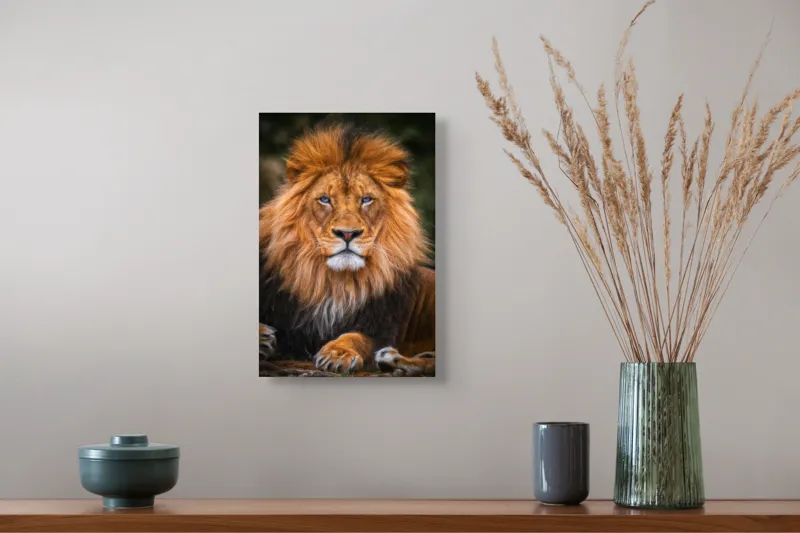 Tablou Canvas, "Regele Serengeti stăpânind savana.", 26 x 39 cm – poza 5