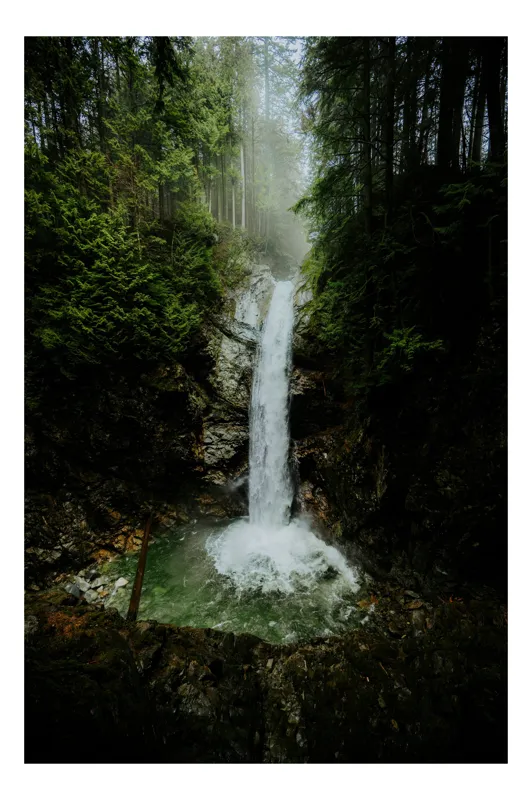 Tablou Canvas Cascada Sălbatică în Adâncuri de Pădure, 50 x 50 cm