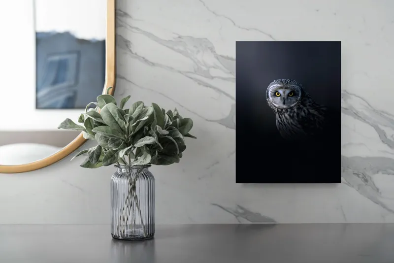 Tablou Canvas cu bufniță multicolor pentru decorarea interiorului, 26 x 39 cm – poza 4