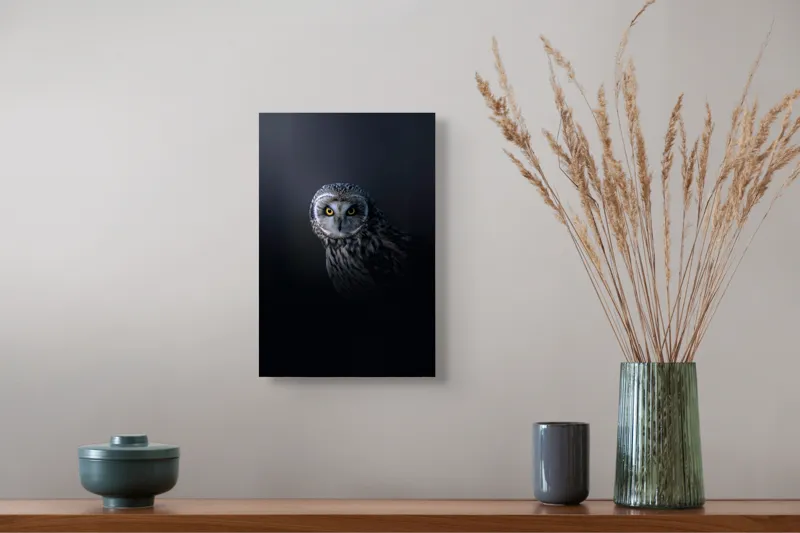Tablou Canvas cu bufniță multicolor pentru decorarea interiorului, 26 x 39 cm – poza 5