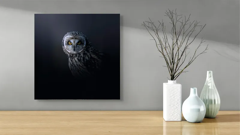 Tablou Canvas cu bufniță multicolor pentru decorarea interiorului, 50 x 50 cm