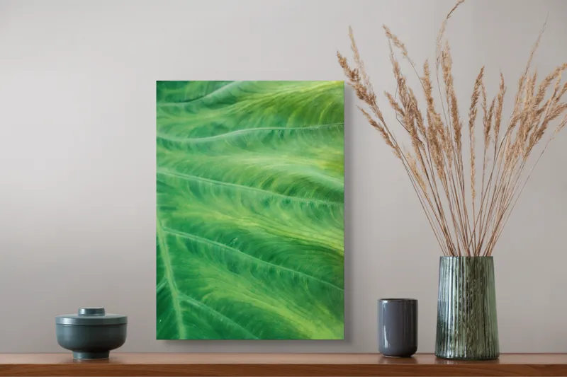 Tablou Canvas, "Texturile armonioase ale naturii vii", 39 x 54 cm – poza 3