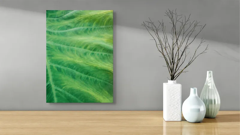 Tablou Canvas, "Texturile armonioase ale naturii vii", 39 x 54 cm – poza 4