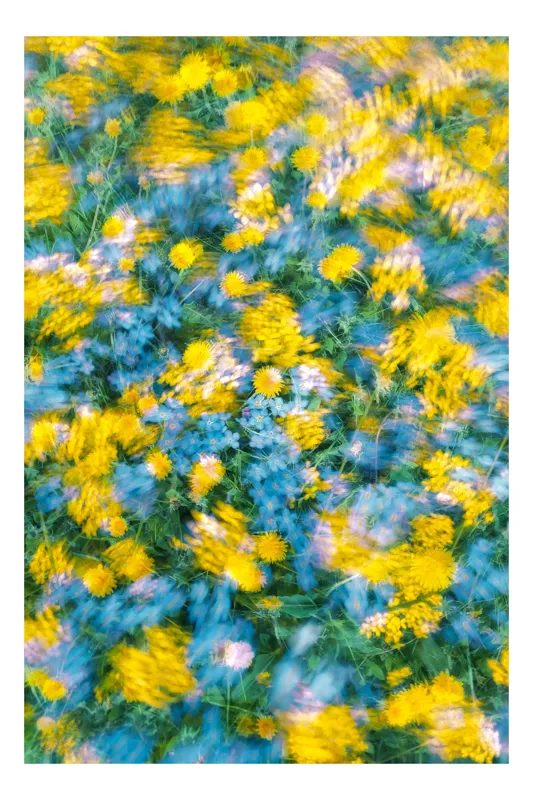 Tablou Canvas cu motiv floral abstract, 50 x 90 cm