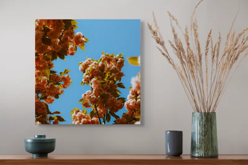 Tablou Canvas, "Florile primăverii sub cer senin", Flori, Cer, Albastru, Ramuri, Frunze, Primăvară, Natură, Roz, Verde, Lumină, Delicat, Înfloresc., 50 x 50 cm – poza 4