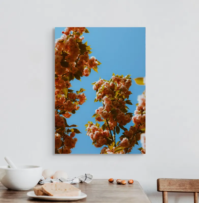 Tablou Canvas, "Florile primăverii sub cer senin", Flori, Cer, Albastru, Ramuri, Frunze, Primăvară, Natură, Roz, Verde, Lumină, Delicat, Înfloresc., 50 x 70 cm – poza 3