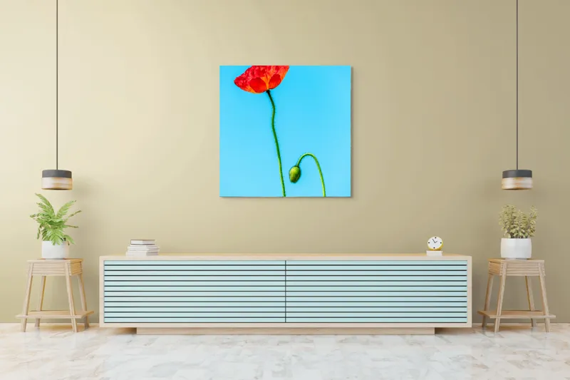 Tablou Canvas Macul Roșu Înflorire Fragilă Artă Florală, 100 x 100 cm – poza 5