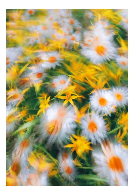 Tablou Canvas, "Dansul efemer al verii florale", 50 x 70 cm