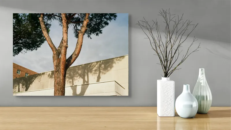 Tablou Canvas, "Umbră de arbore pe clădire modernă", Arbore, Cer, Umbre, Clădire, Pereți, Ramuri, Frunziș, Lumină, 70 x 50 cm – poza 3