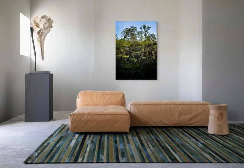 Tablou Canvas Pădurea Liniștită sub Cer Senin, 70 x 100 cm – poza 7
