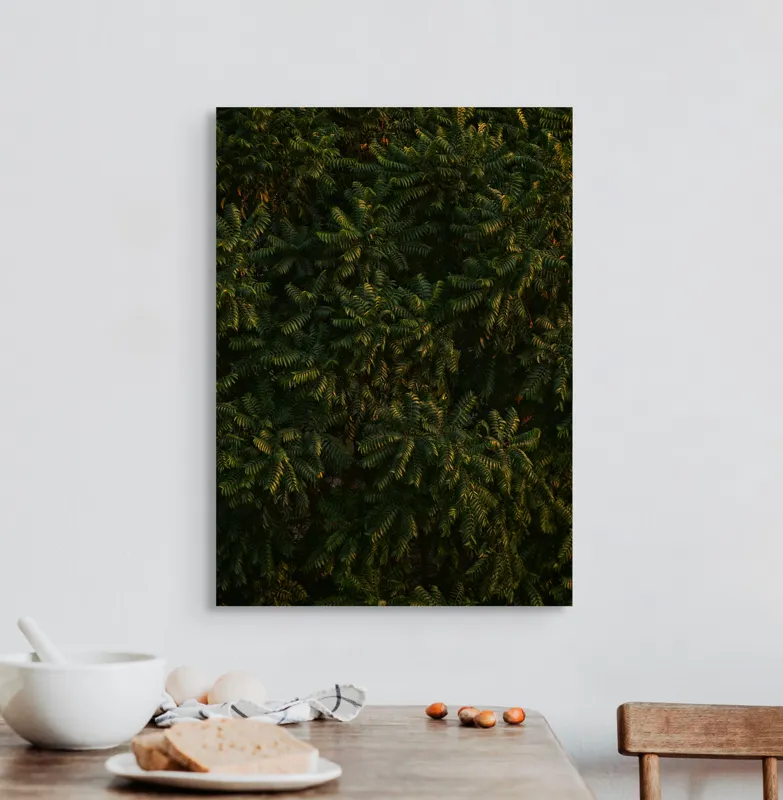 Tablou Canvas, "Umbrele serii peste frunziș verde", Frunze, Verdeață, Textură, Densitate, Natură, Frunziș, Umbră, Vegetație, 50 x 70 cm – poza 3