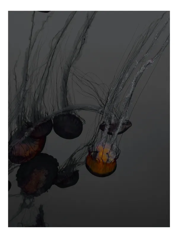 Tablou Canvas, "Dansul elegant al meduzelor nocturne", Tentacule, Transparență, Ocean, Mister, Plutire, Adâncuri, Strălucire, Dans., 39 x 54 cm