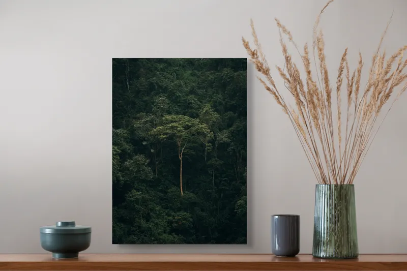 Tablou Canvas, "În mijlocul pădurii tainice", Mystery, Solitude, Nature, Majesty, Verdant, Isolation, Lushness, 39 x 54 cm – poza 3