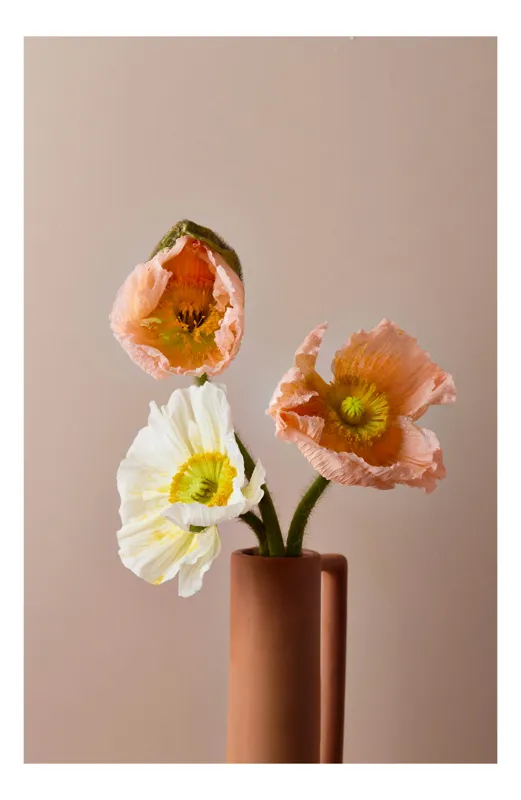 Tablou Canvas floral cu tema răsărit delicat, 70 x 100 cm