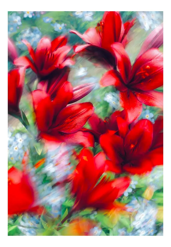 Tablou Canvas, "Armonia dansului floral vibrant", 100 x 100 cm