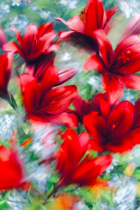 Tablou Canvas, "Armonia dansului floral vibrant", 26 x 39 cm – poza 2