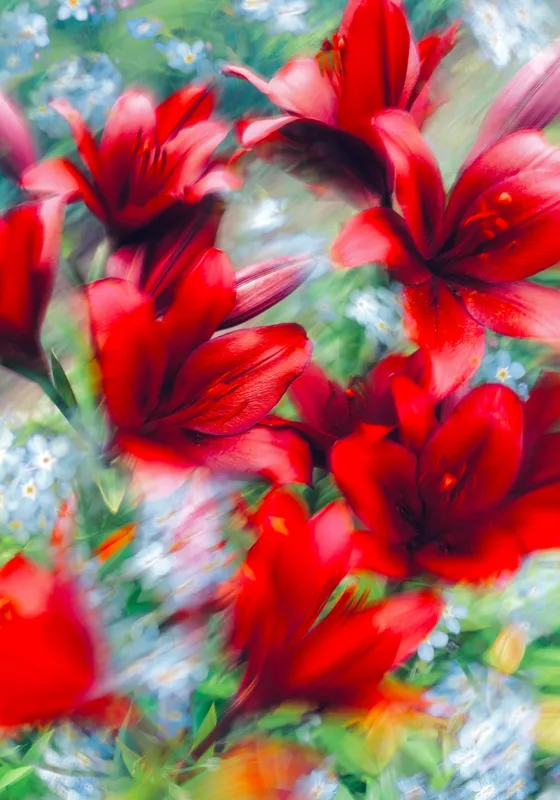 Tablou Canvas, "Armonia dansului floral vibrant", 70 x 100 cm – poza 2
