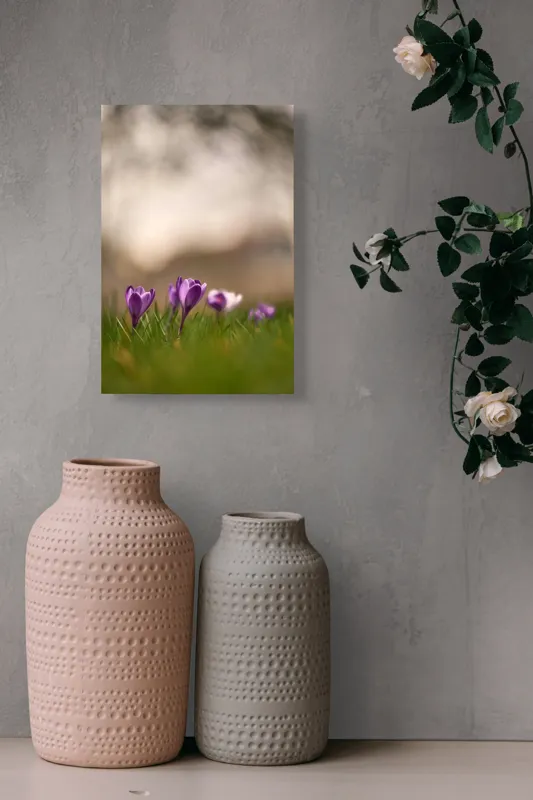 Tablou Canvas, "Culorile delicate ale primăverii timpurii", Flori, Violet, Fragilitate, Primăvară, Natură, Iarbă, Blândețe, Înfloresc, Pastel, Peisaj, 26 x 39 cm – poza 6