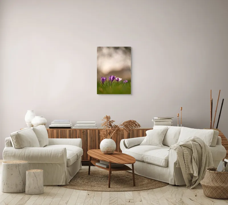 Tablou Canvas, "Culorile delicate ale primăverii timpurii", Flori, Violet, Fragilitate, Primăvară, Natură, Iarbă, Blândețe, Înfloresc, Pastel, Peisaj, 50 x 70 cm – poza 4