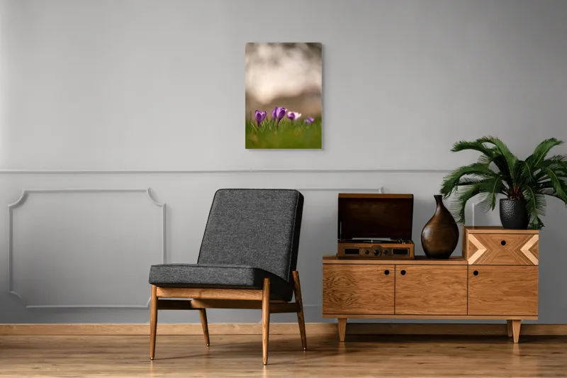 Tablou Canvas, "Culorile delicate ale primăverii timpurii", Flori, Violet, Fragilitate, Primăvară, Natură, Iarbă, Blândețe, Înfloresc, Pastel, Peisaj, 50 x 70 cm – poza 8