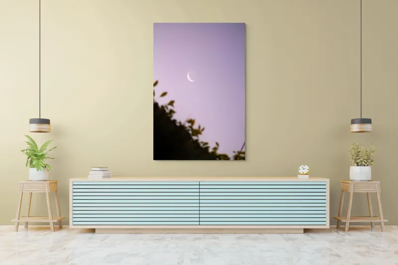 Tablou Canvas Luna serenă peste frunze adormite, 100 x 150 cm – poza 4