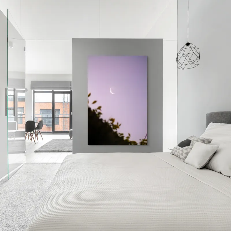 Tablou Canvas Luna serenă peste frunze adormite, 100 x 150 cm – poza 5