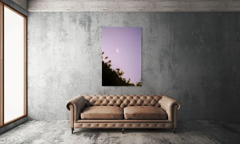 Tablou Canvas Luna serenă peste frunze adormite, 100 x 150 cm – poza 6