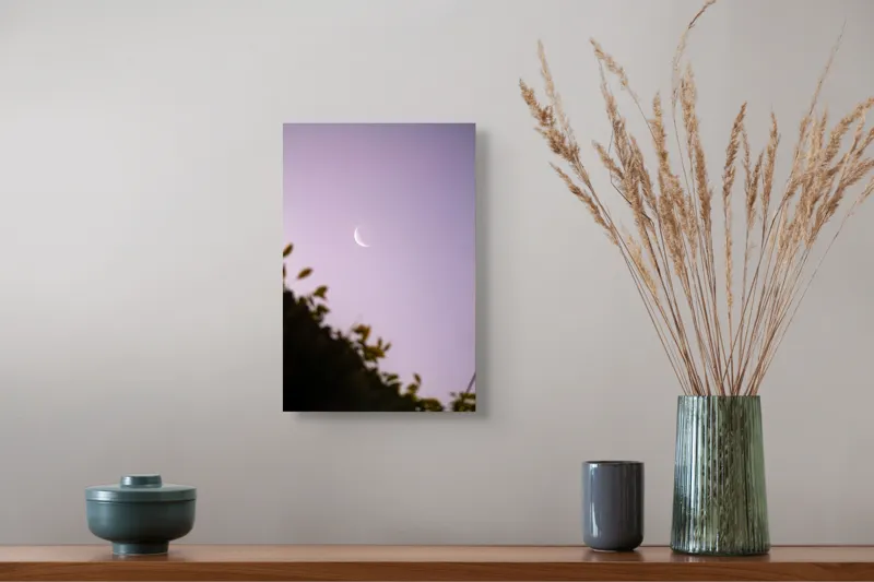 Tablou Canvas Luna serenă peste frunze adormite, 26 x 39 cm – poza 5