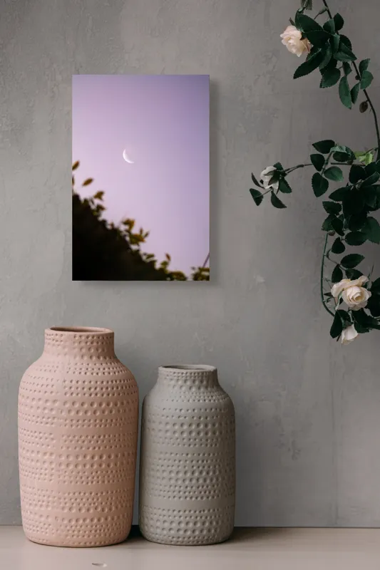 Tablou Canvas Luna serenă peste frunze adormite, 26 x 39 cm – poza 6
