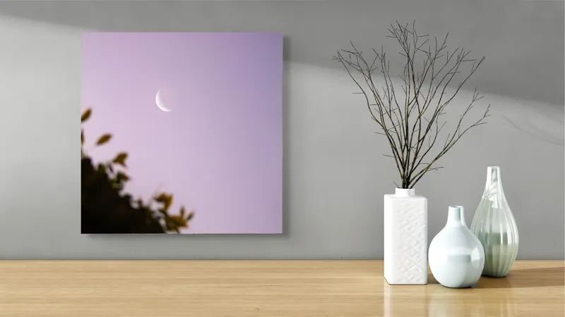 Tablou Canvas Luna serenă peste frunze adormite, 50 x 50 cm – poza 3