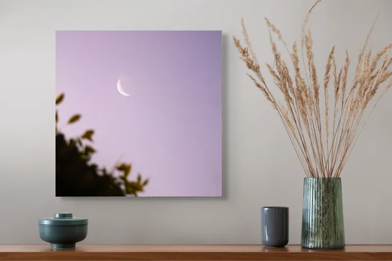 Tablou Canvas Luna serenă peste frunze adormite, 50 x 50 cm – poza 4