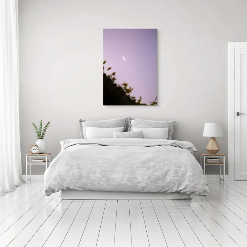 Tablou Canvas Luna serenă peste frunze adormite, 70 x 100 cm – poza 3