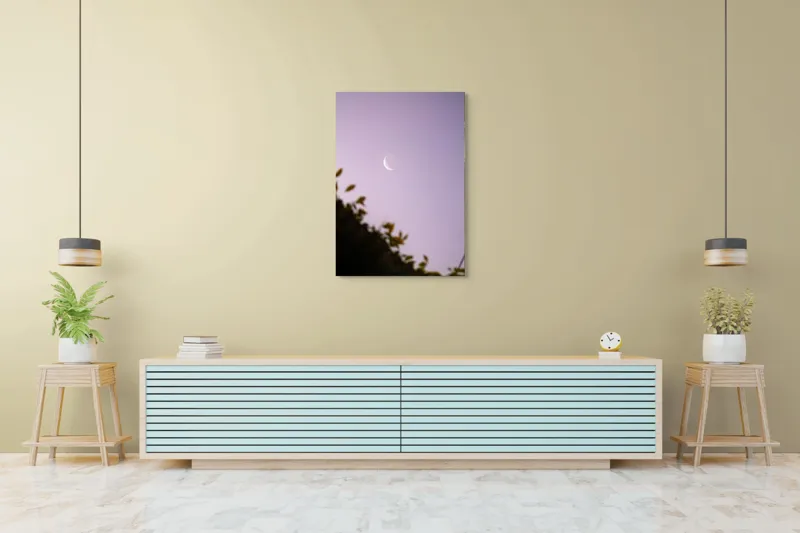 Tablou Canvas Luna serenă peste frunze adormite, 70 x 100 cm – poza 5