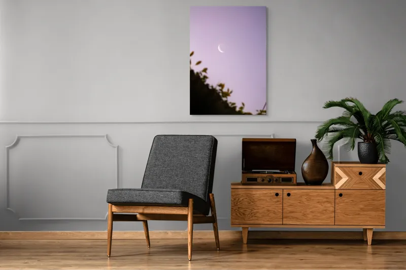 Tablou Canvas Luna serenă peste frunze adormite, 70 x 100 cm – poza 6