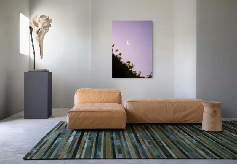 Tablou Canvas Luna serenă peste frunze adormite, 70 x 100 cm – poza 7